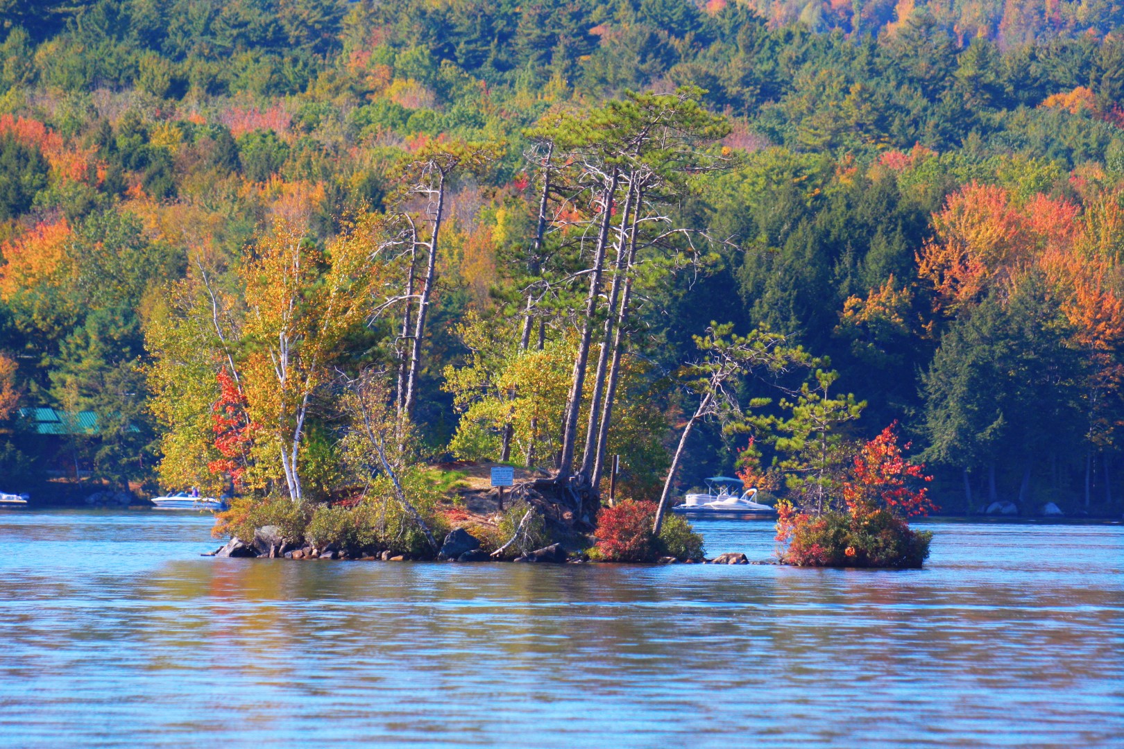 Autumn Island